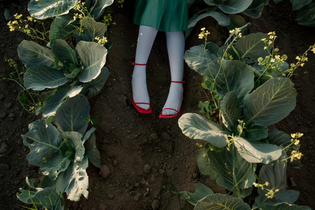 A unique perspective of a woman's legs amidst lush cabbage plants in a garden setting.