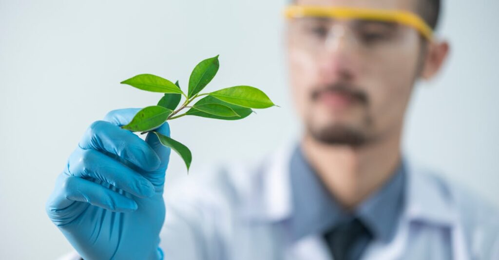 Young scientist wearing protective gloves and examining a plant sample in a laboratory setting.